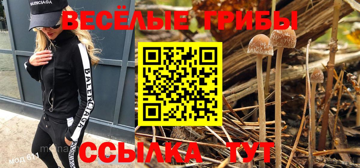 Псилоцибиновые грибы MAGIC MUSHROOMS Алапаевск