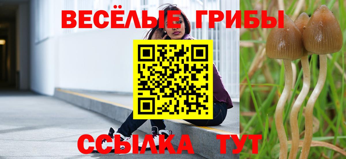 Галлюциногенные грибы ЛСД  Вход с VPN  Псилоцибиновые грибы Magic Shrooms  купить   Алапаевск 